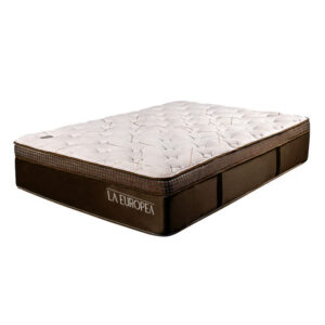 Hotelero Plus